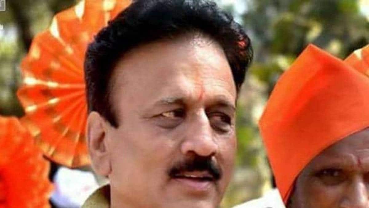 BJP नेता गिरीश महाजन पर फेंकी गई स्याही (फाइल फोटो)