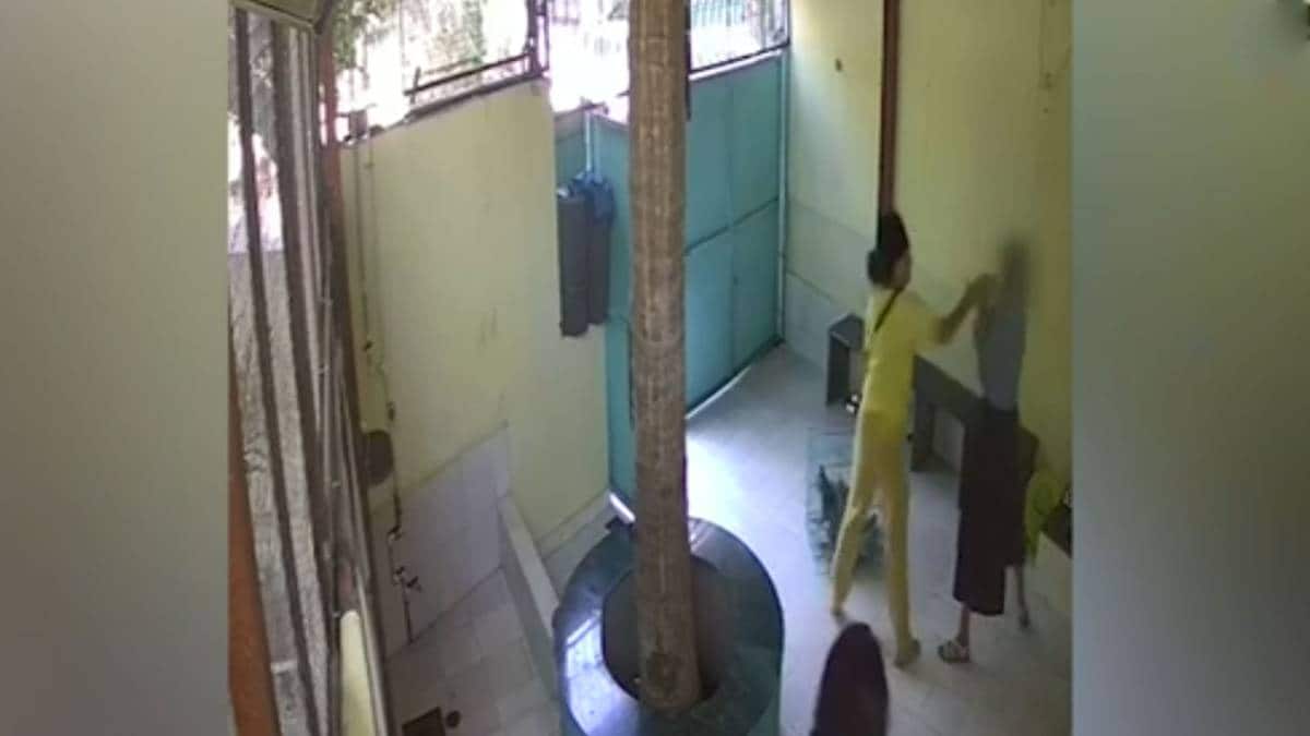 हीबा शाह पर मारपीट का आरोप