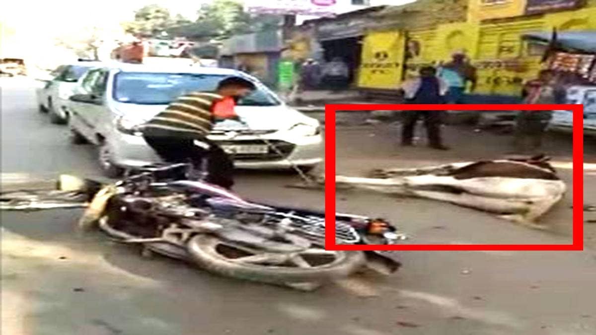 बेकाबू हुआ घोड़ा