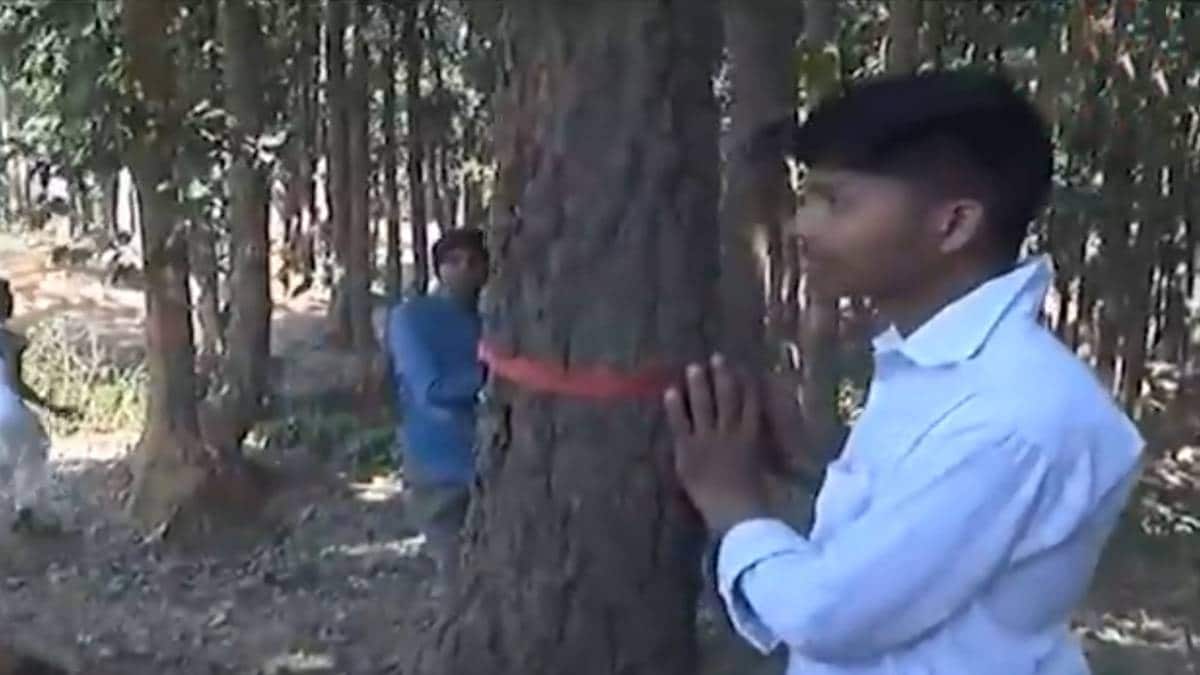 पेड़ों को राखी बांधते लोग