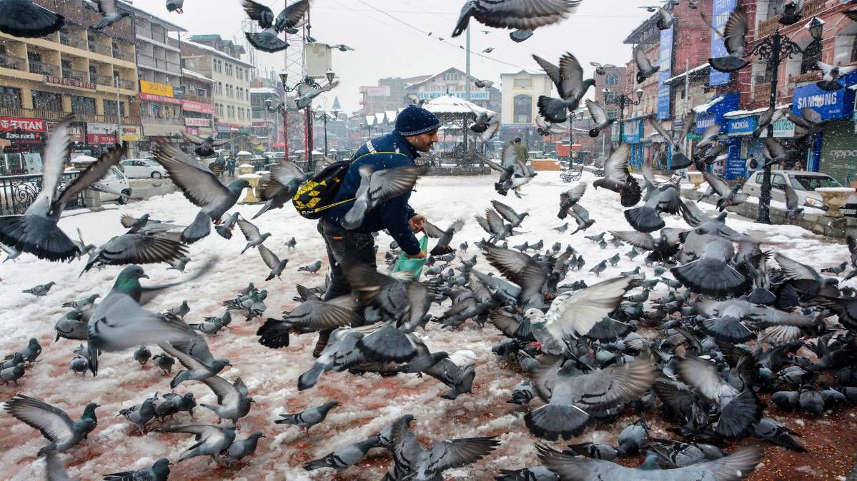 फाइल फोटो/