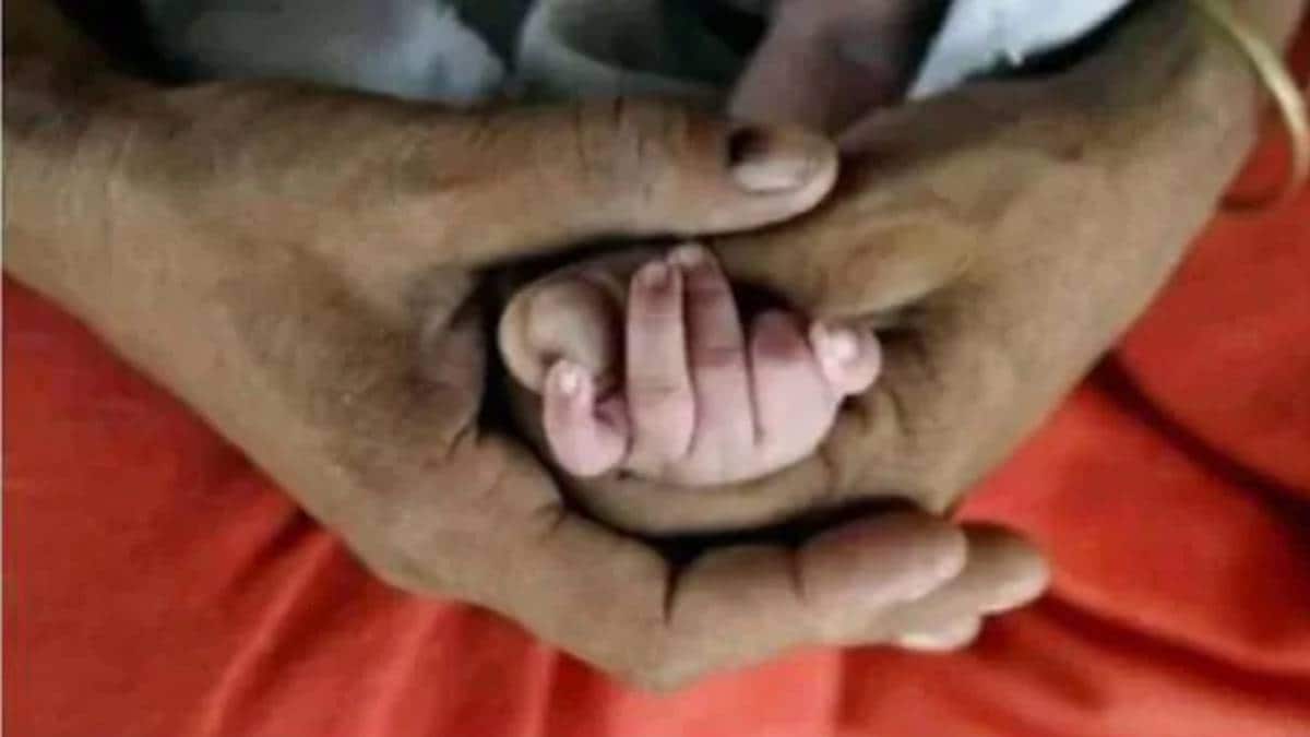 प्रतिकात्मक तस्वीर