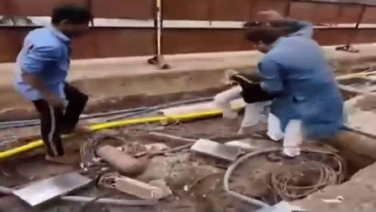 कप्तान मलिक