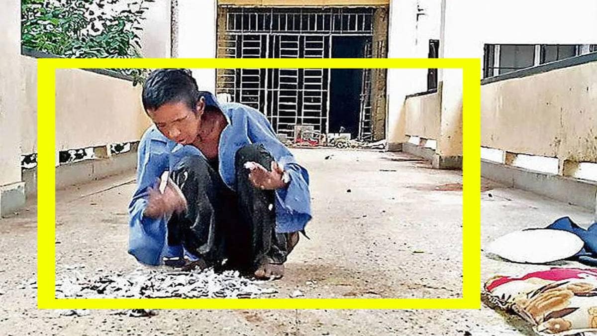 कबूतर को खाते हुए महिला