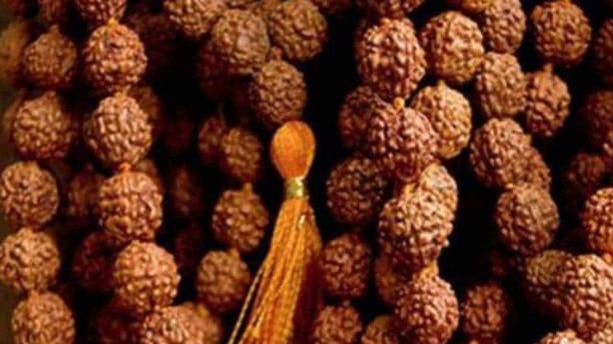 रुद्राक्ष