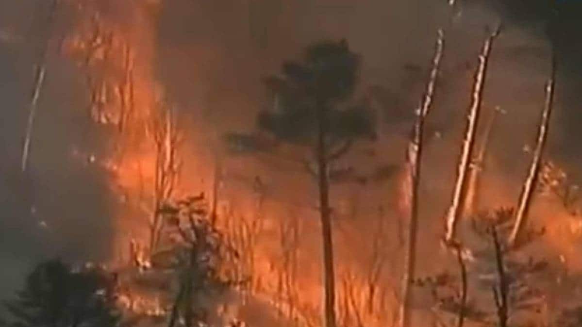 Australia bushfire crews battle mega blaze near Snowy Mountains (PHOTO TV GRAB)