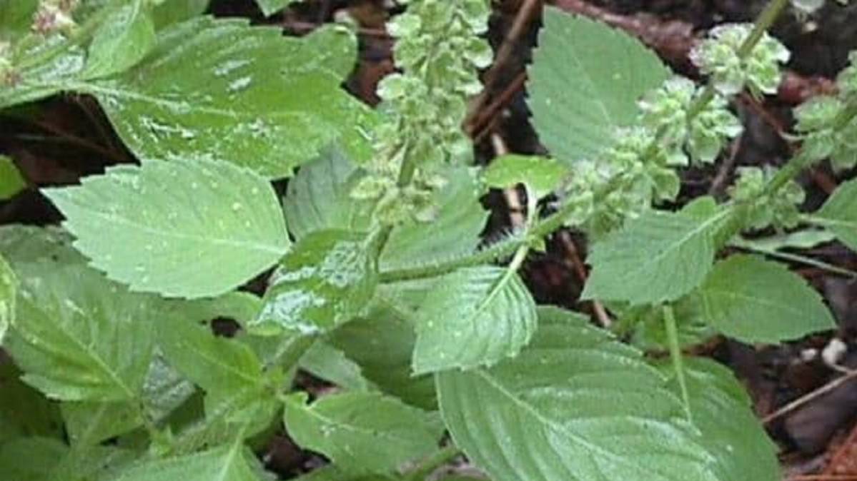 प्रतीकात्मक फोटो