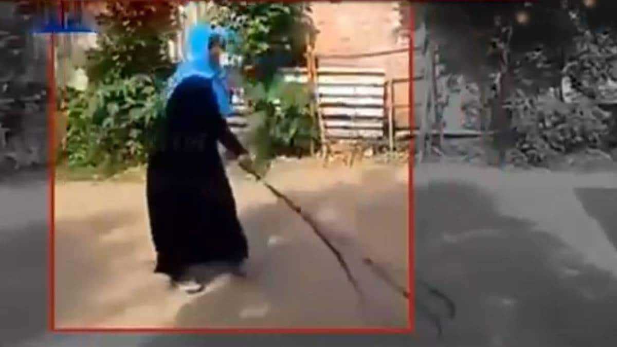 वायरल टेस्ट