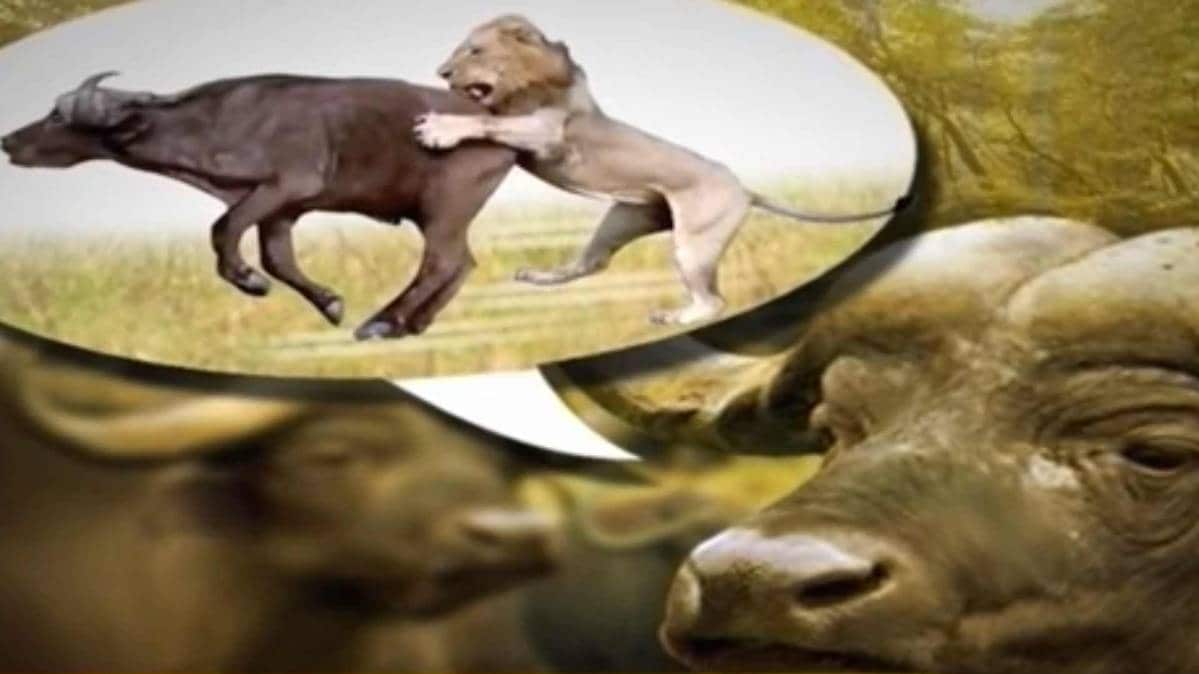 प्रतीकात्‍मक तस्‍वीर