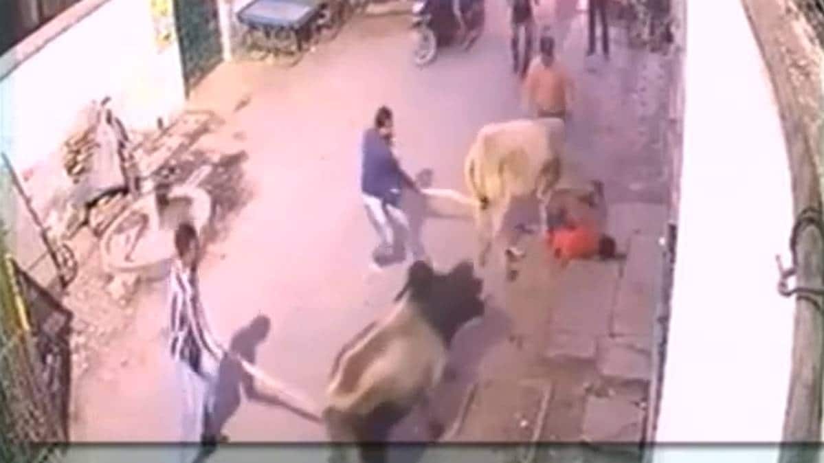 सांड का हमला