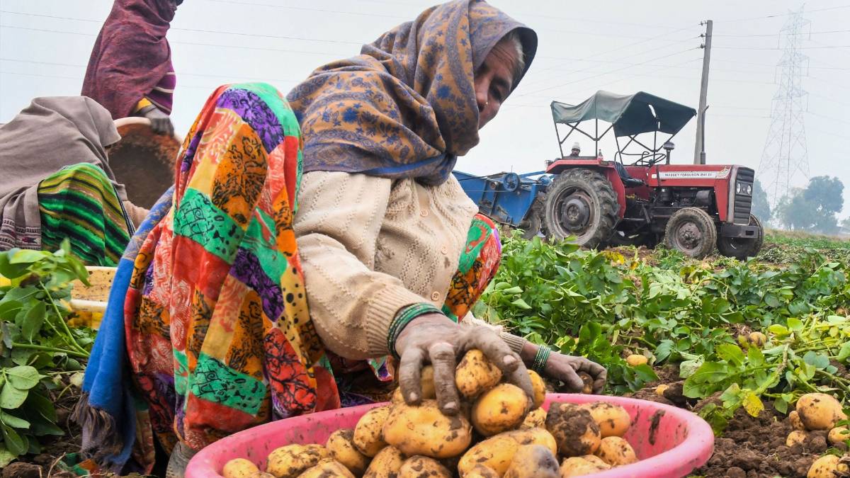 Budget 2020 में किसानों के लिए ऐलान (फाइल फोटो-PTI)