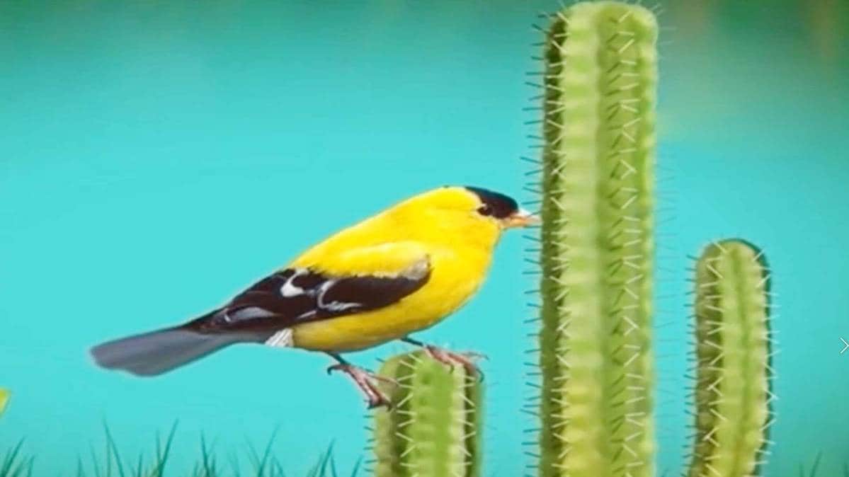 मैं भाग्य हूं