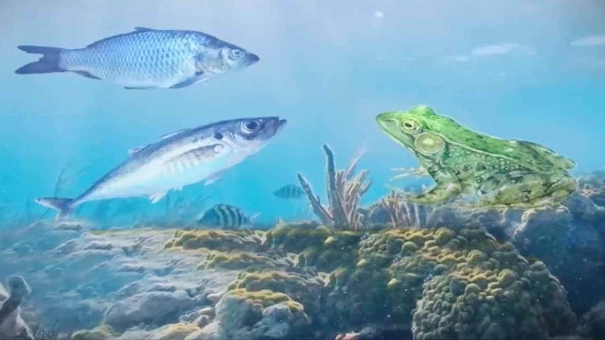 मैं भाग्य हूं