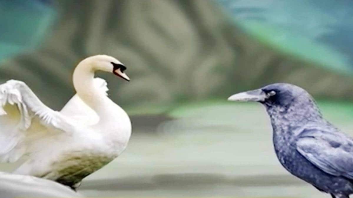 प्रतीकात्‍मक तस्‍वीर