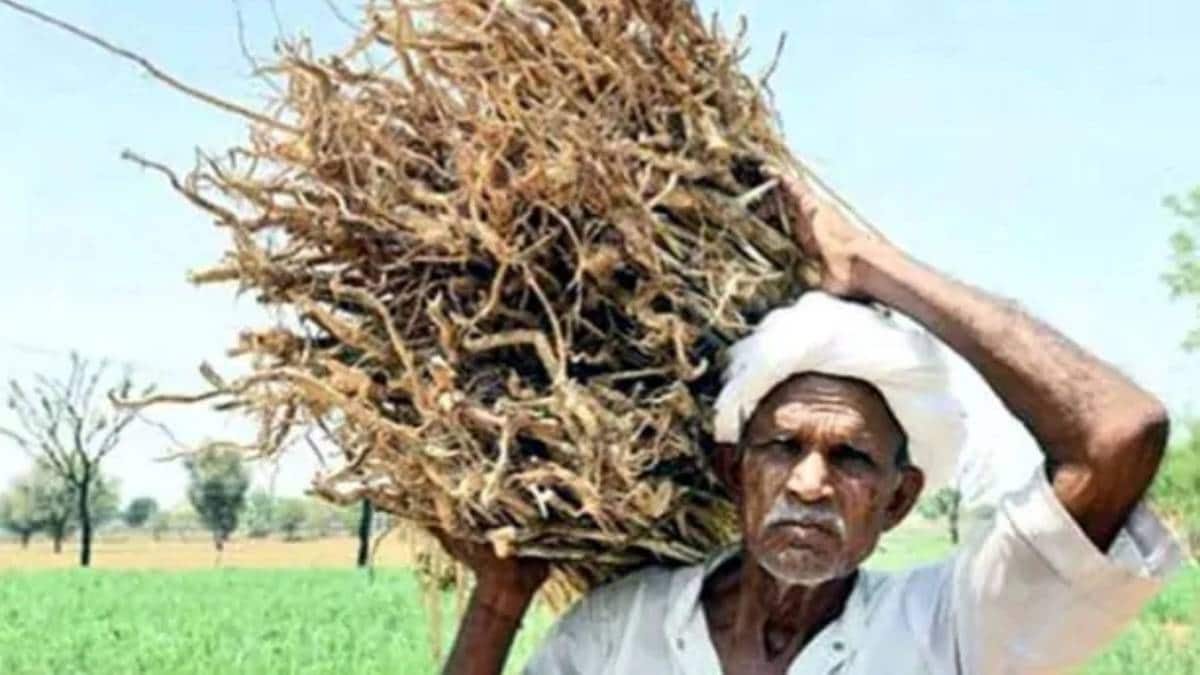 बजट 2020 से किसान क्या चाहते हैं (फाइल फोटो)