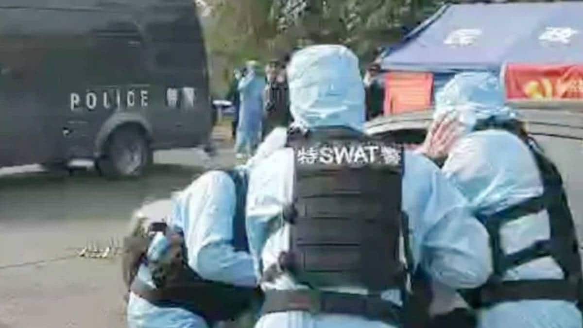 फैक्ट चेक वीडियो (Video Grab)