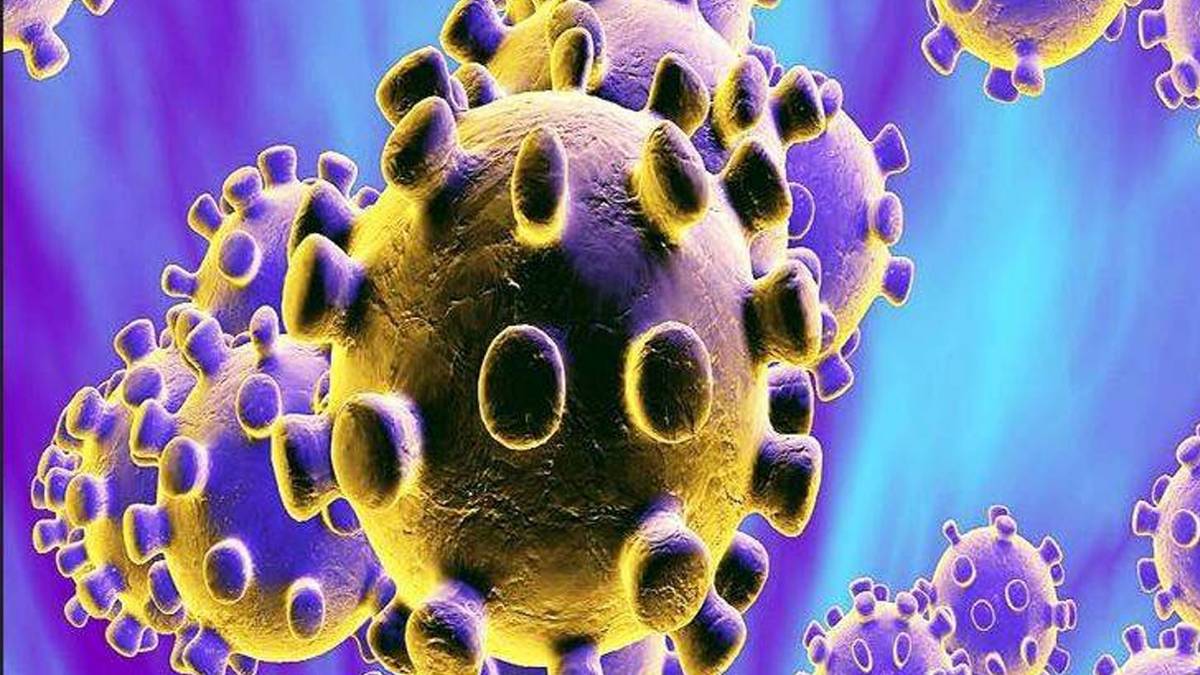 भारत में कोरोना की दस्तक (PTI)