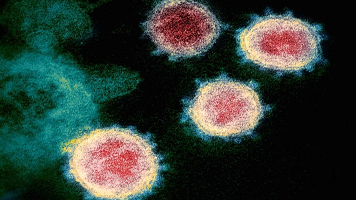 कोरोना वायरस की तस्वीर