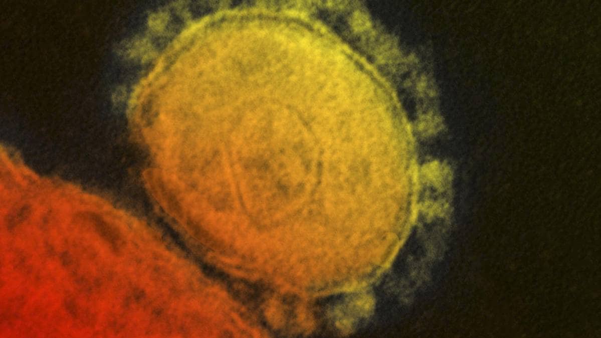 Coronavirus outbreak in India