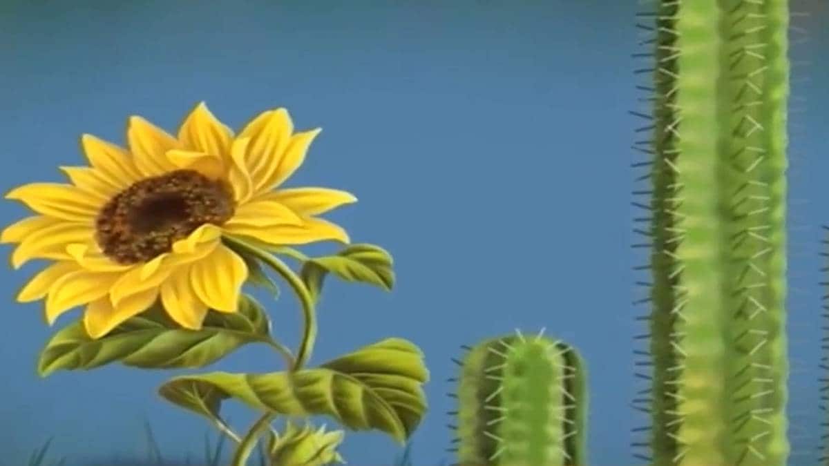 मैं भाग्य हूं