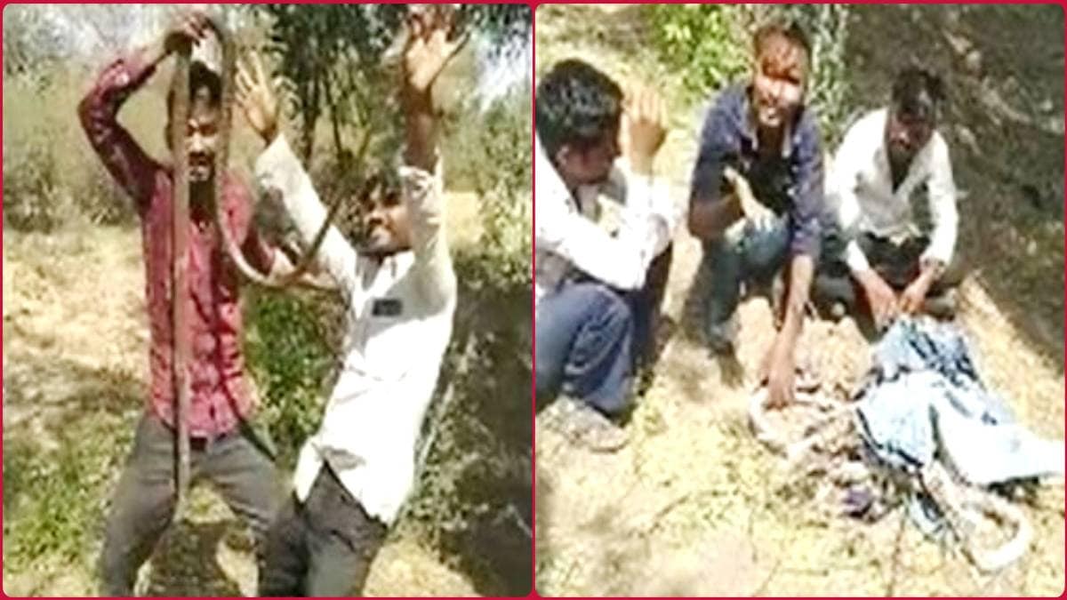 सांप को मारते हुए लड़के (वीडियो ग्रैब)