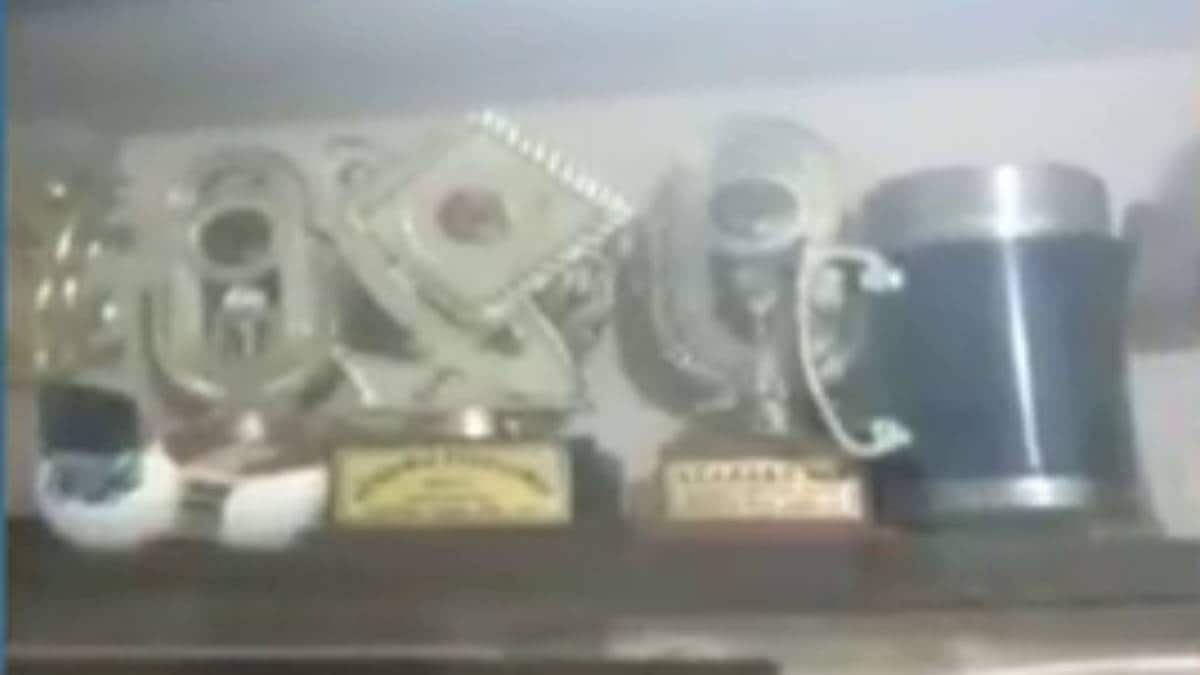 निर्भया की यादों को मां ने फ्रेम में सजाया (फाइल-वीडियो ग्रैब)