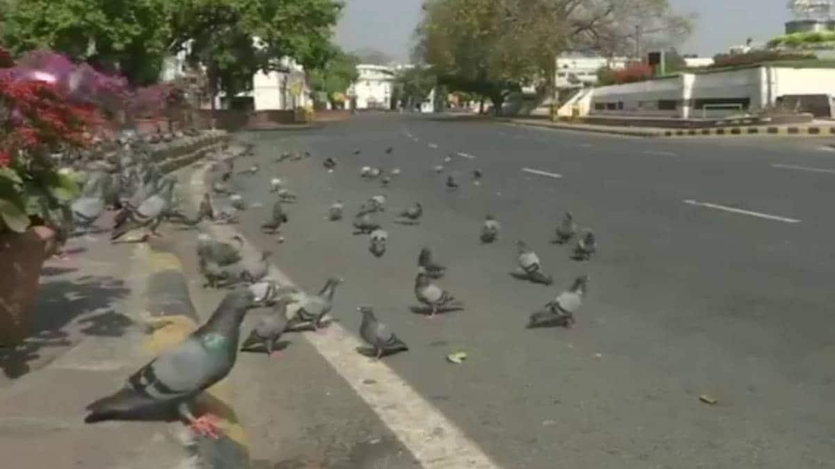 जनता कर्फ्यू (फाइल-ANI)