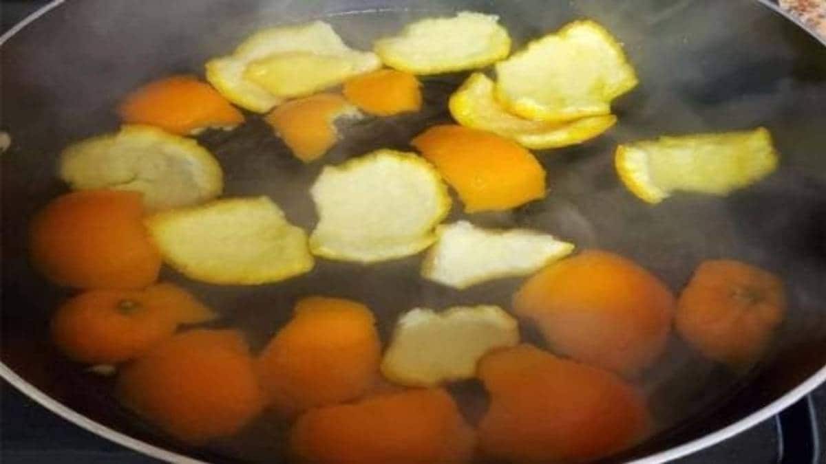 संतरे से होगा कोरोना का इलाज, सोशल मीडिया पर हो रहा हैं ऐसे दावे (फोटो-सोशल मीडिया)