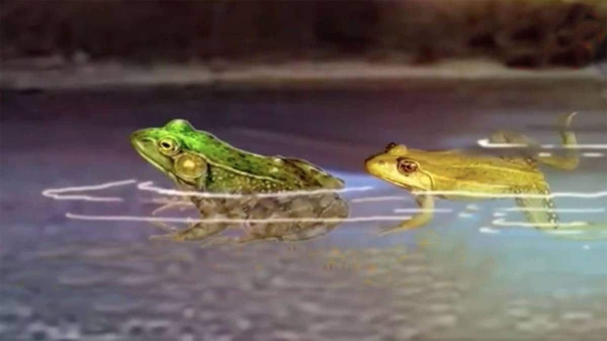 मैं भाग्य हूं