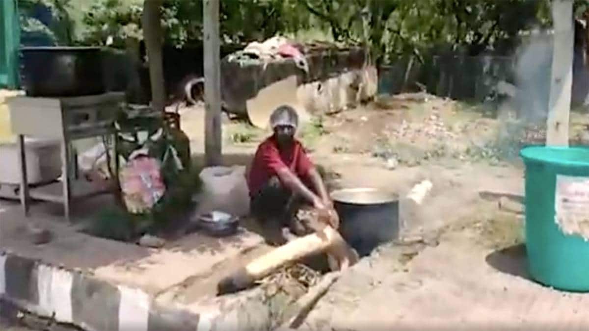 आवारा जानवरों को खिलाया जा रहा खाना