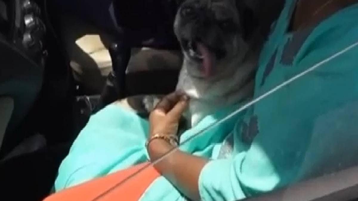 लखनऊ में लड़कियों से पुलिस से बहस