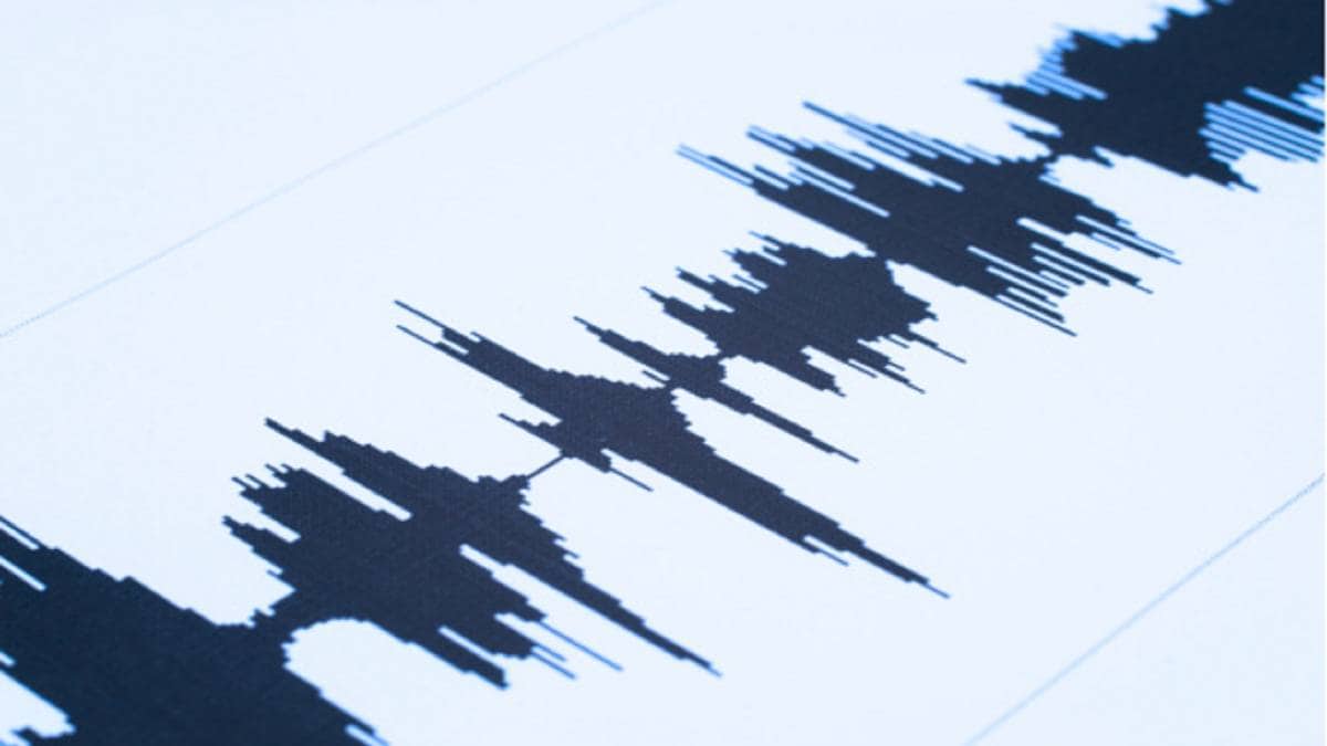 प्रतीकात्मक फोटो