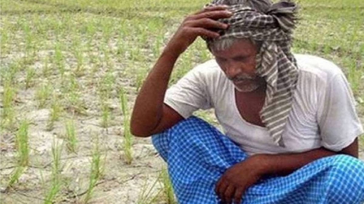 प्रतीकात्मक तस्वीर