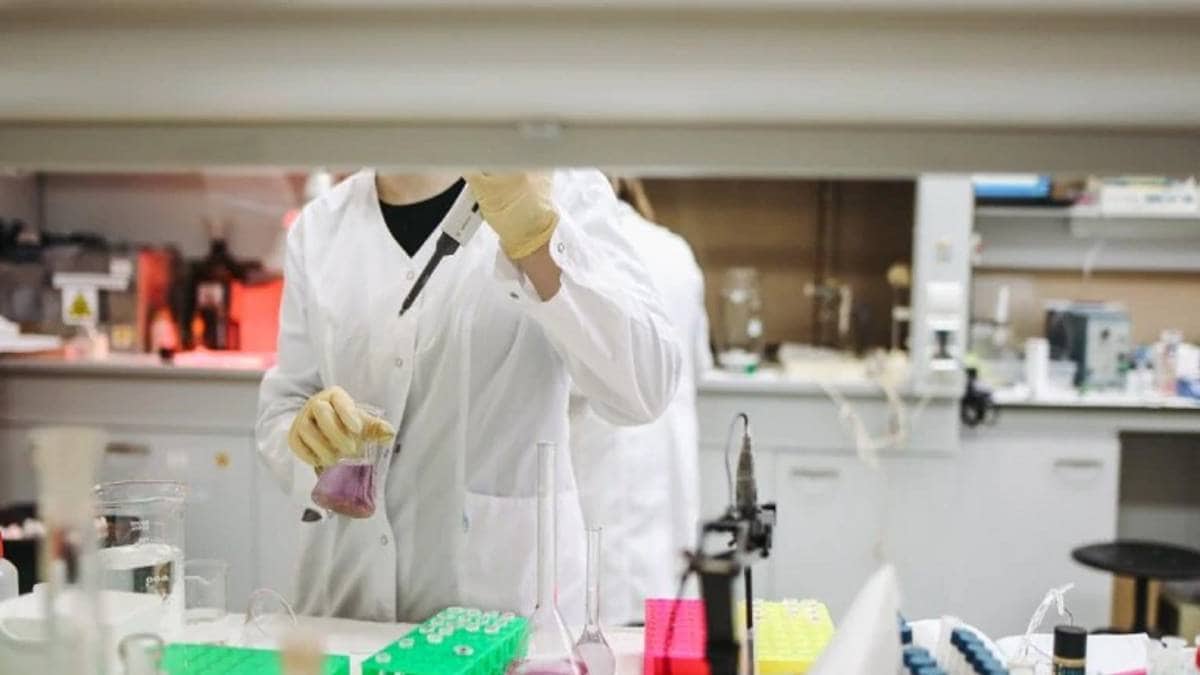 प्रतीकात्मक फोटो