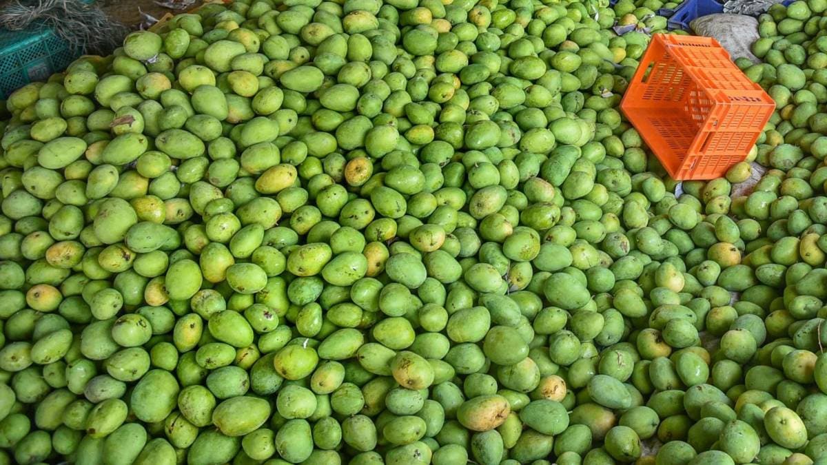 आम (फोटो-PTI)