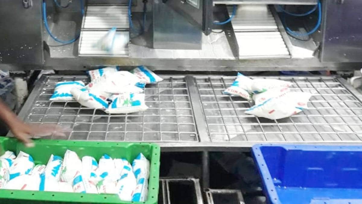 प्रतीकात्मक तस्वीर