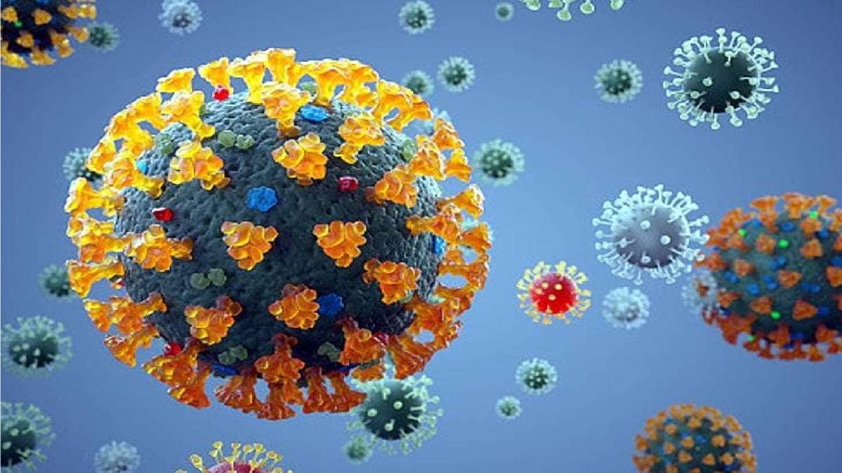 कोरोना का कहर