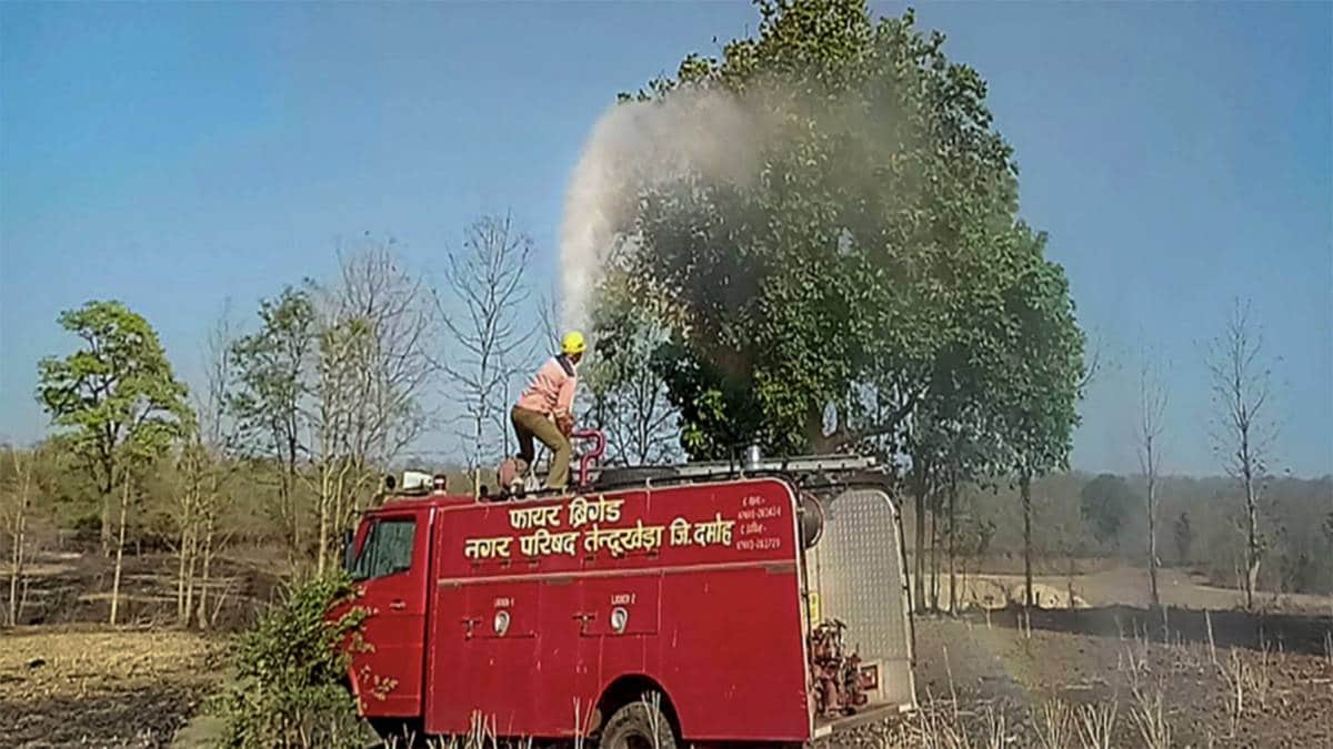 (फोटो-पीटीआई)