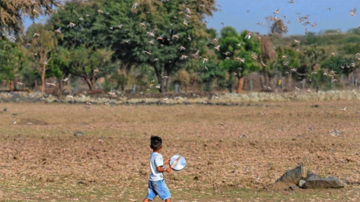 (फोटो-पीटीआई)