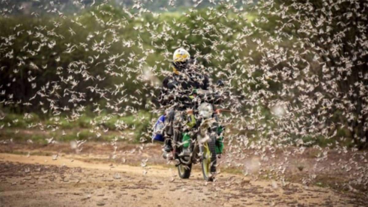 (फाइल एपी)