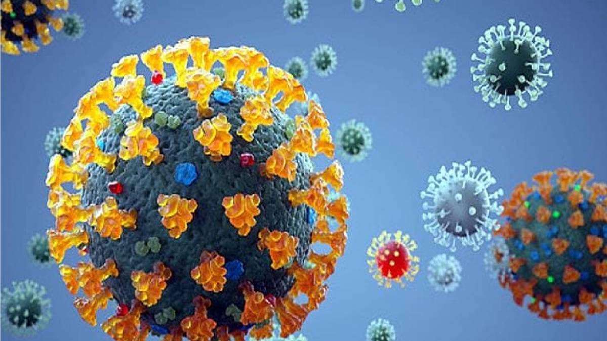 कोरोना वायरस