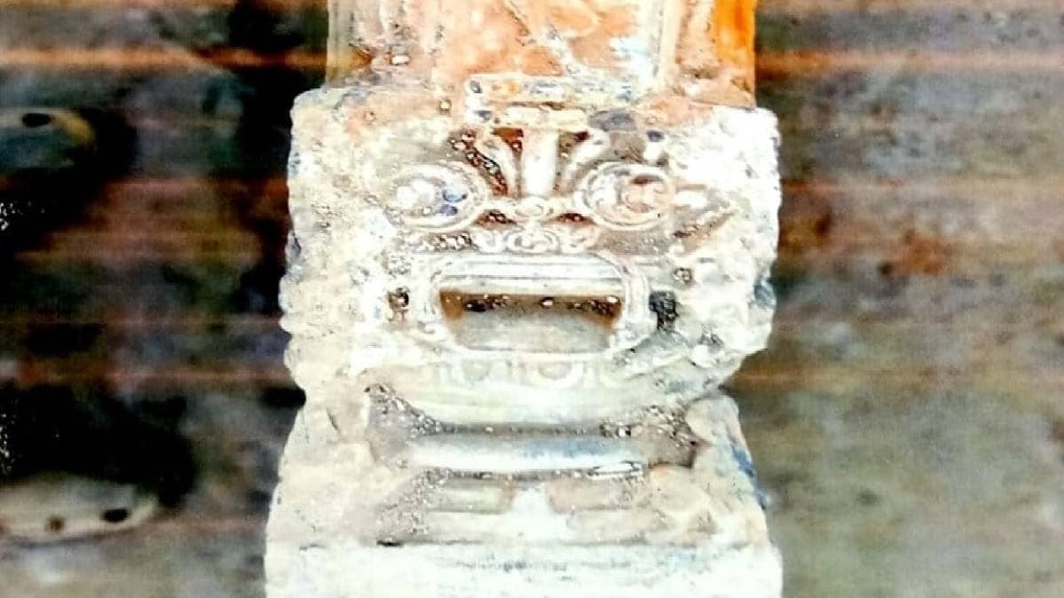 राम जन्मभूमि से निकलीं मूर्तियां