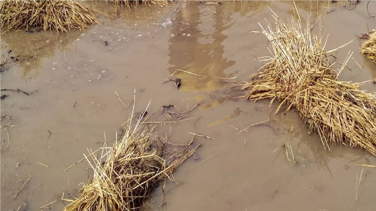 कोरोना के कहर के बीच बारिश से तबाही