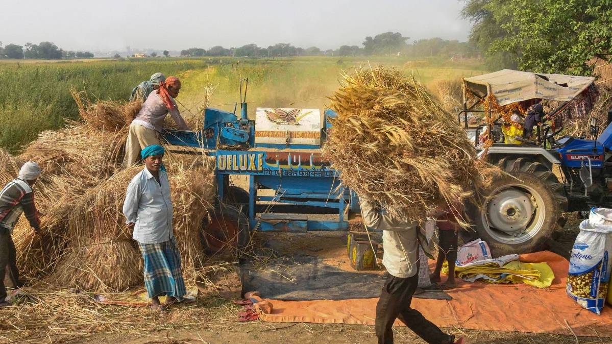 20 लाख करोड़ के आर्थिक पैकेज में कृषि क्षेत्र को क्या मिला (File- PTI)