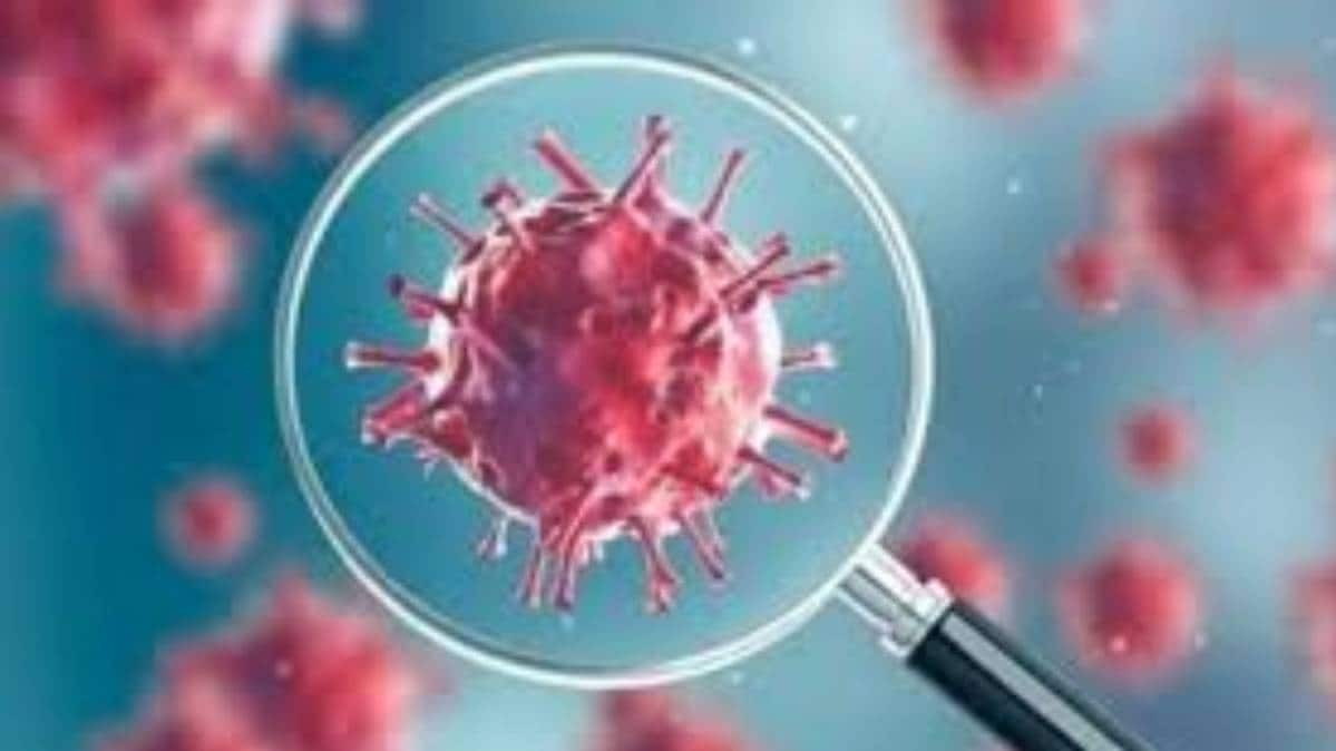 वायरस पर अध्ययन करना जरूरी है (File Photo)