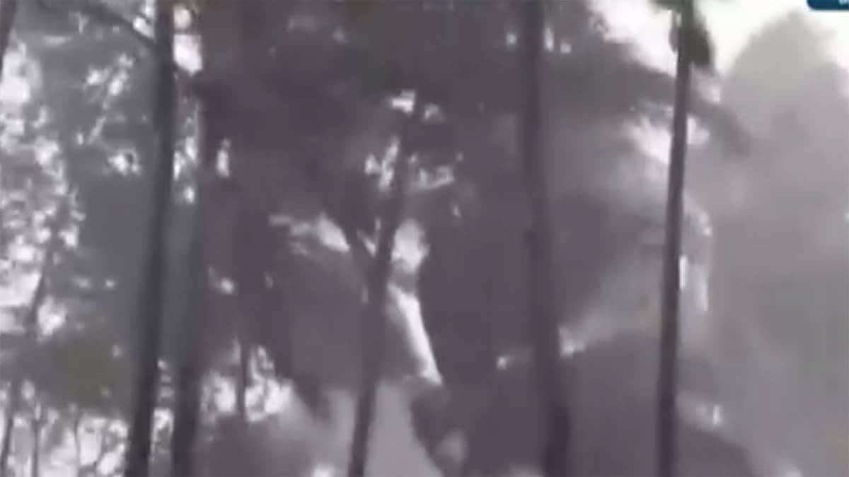 अलीबाग-रत्नीगिरी में टकराया निसर्ग