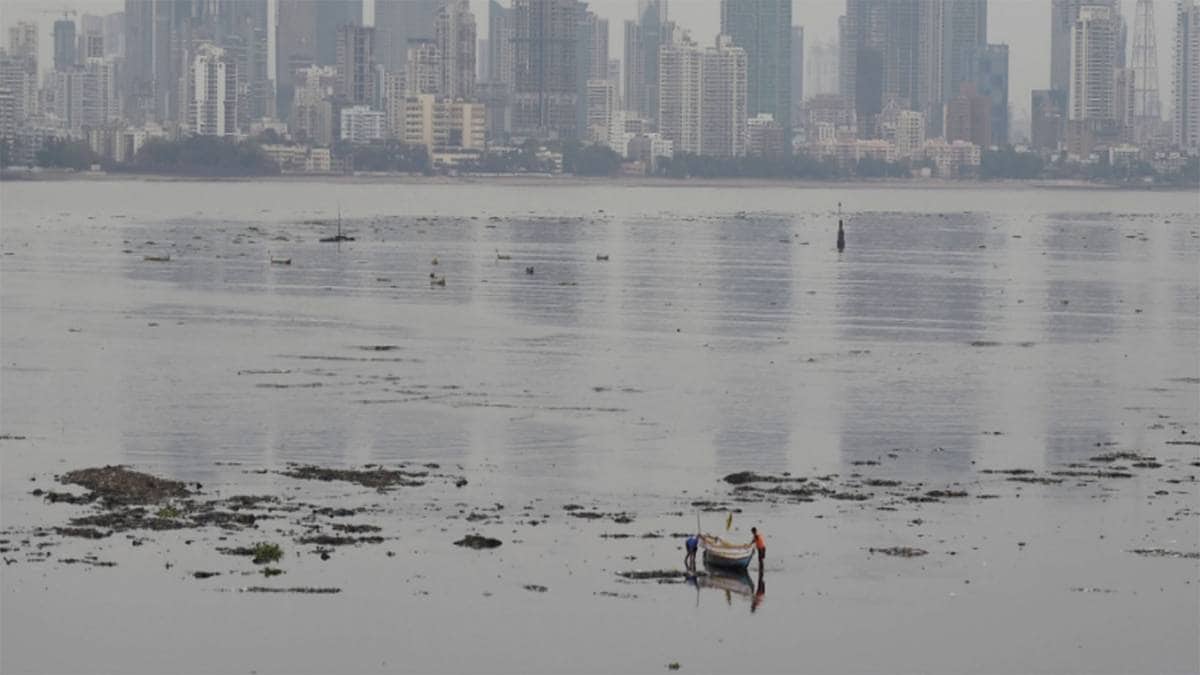 फोटो-पीटीआई