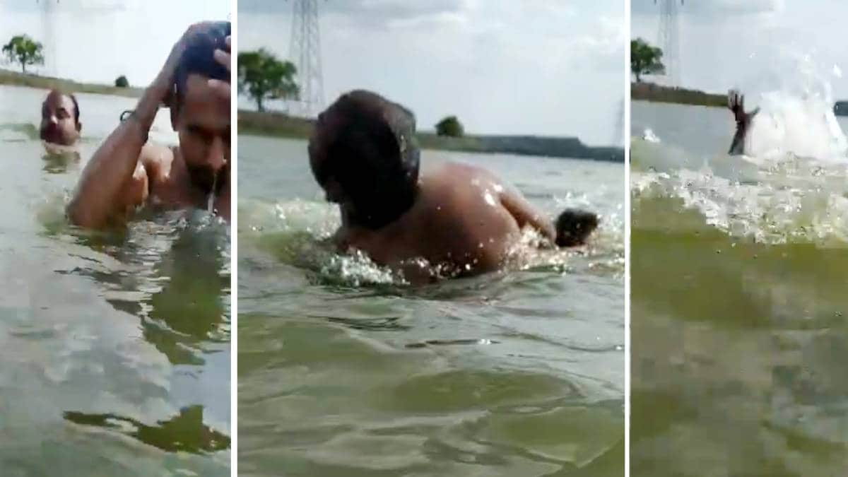 Watch: Crocodile attacks swimmer in MPBHopal Kaliasot Dam