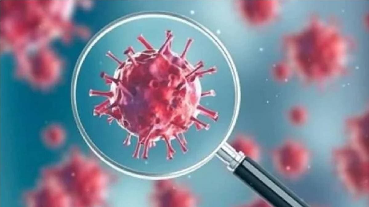 कोरोना वायरस