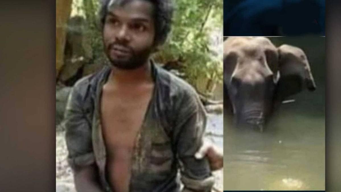 वायरल वीडियो की पड़ताल